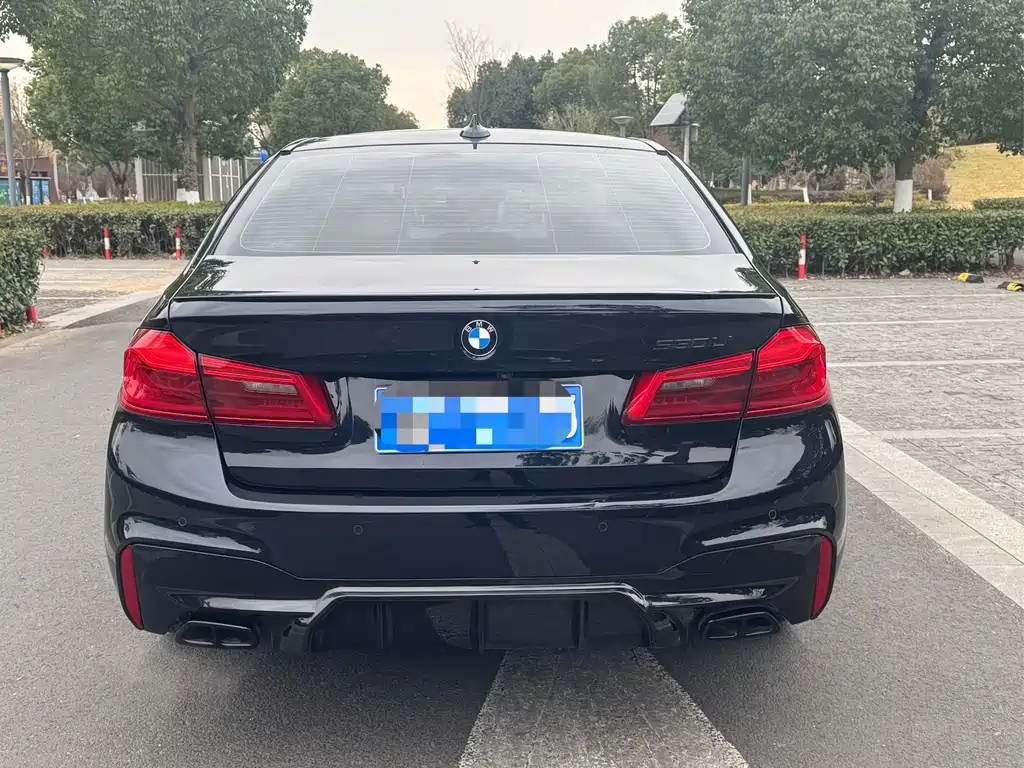 BMW 5 Series 2020 530Li Leading Edition M Sport Package - фото 15