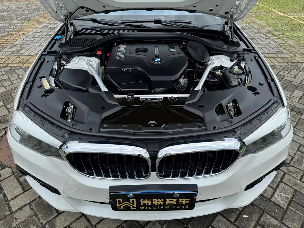 BMW 5 Series 2019 Facelift 530Li Leading Edition M Sport Package
