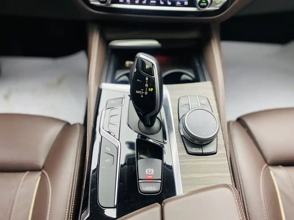 2020 BMW 5 Series 530Li Exclusive Luxury Line - фото 12