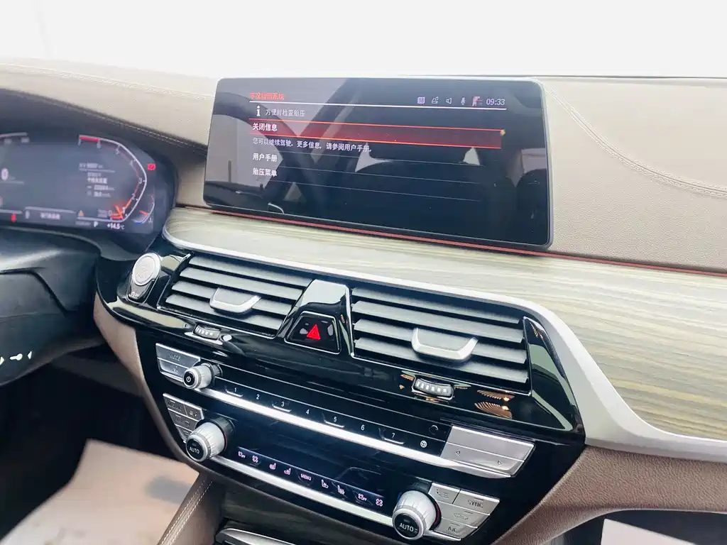 2020 BMW 5 Series 530Li Exclusive Luxury Line - фото 11