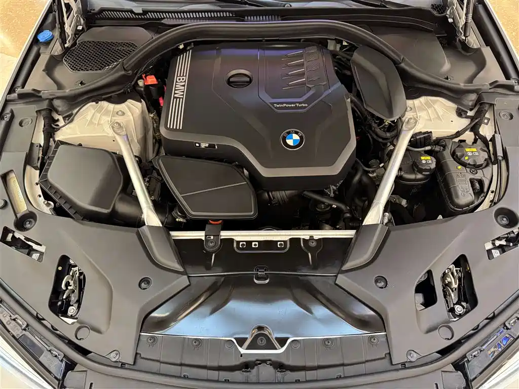 BMW 5 Series 2021 Facelift 530Li Leading Edition Luxury Package - фото 12