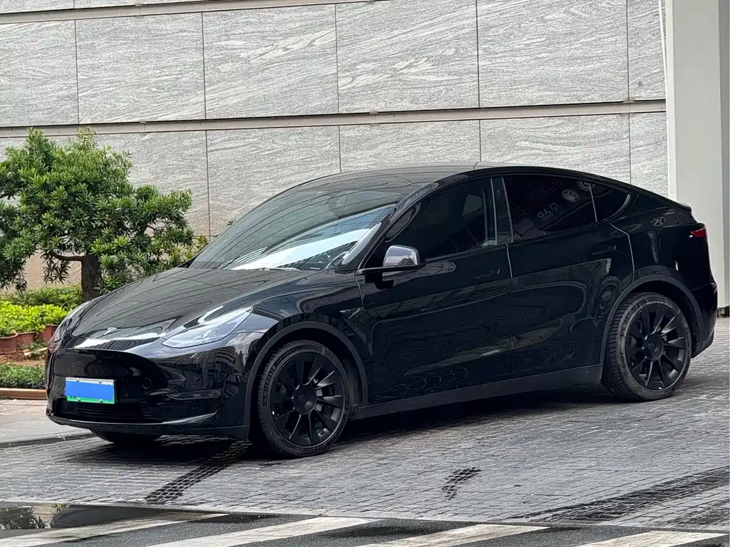 Model Y 2022 Rear-Wheel Drive