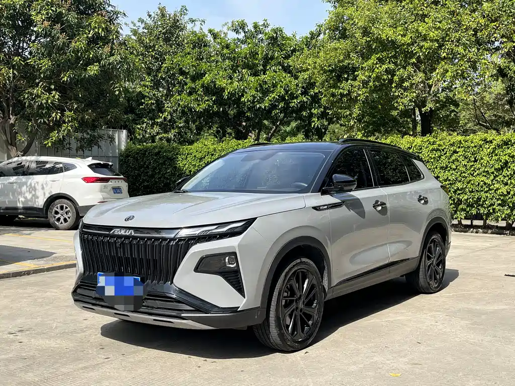 Dongfeng Haoyi 2022 Mach Power 1.5T Ganxing Edition Yue