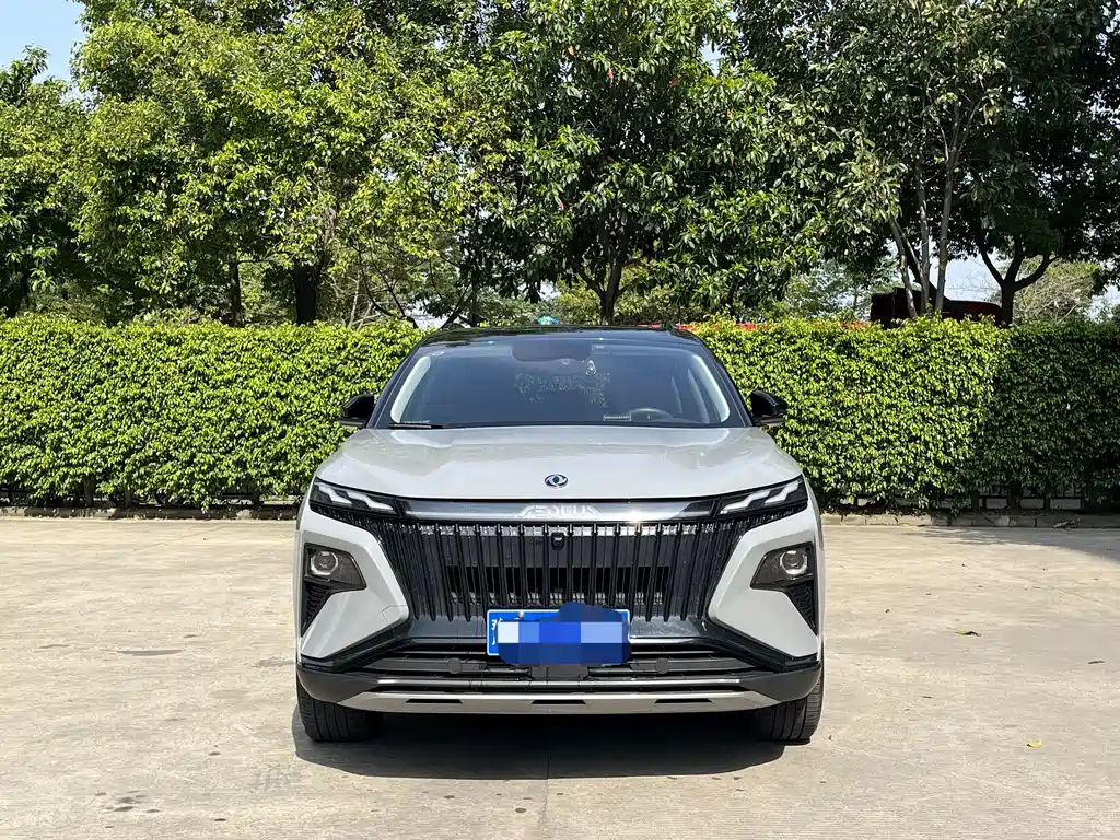 Dongfeng Haoyi 2022 Mach Power 1.5T Ganxing Edition Yue