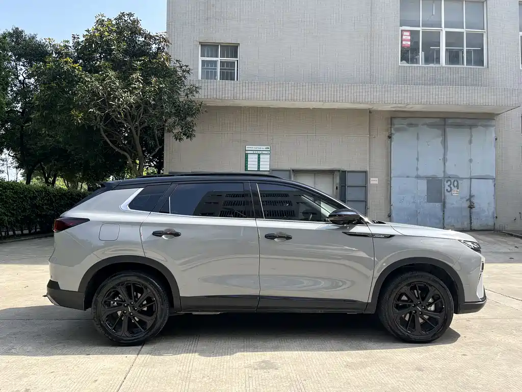 Dongfeng Haoyi 2022 Mach Power 1.5T Ganxing Edition Yue