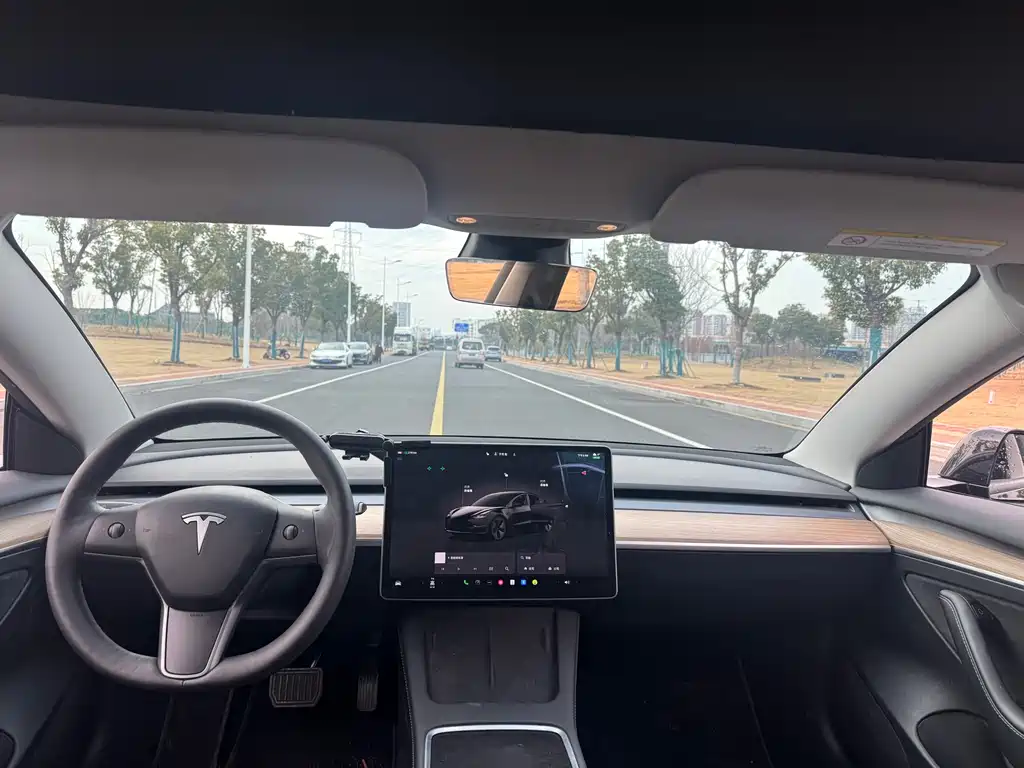 Tesla Model 3 2022 Rear-Wheel Drive