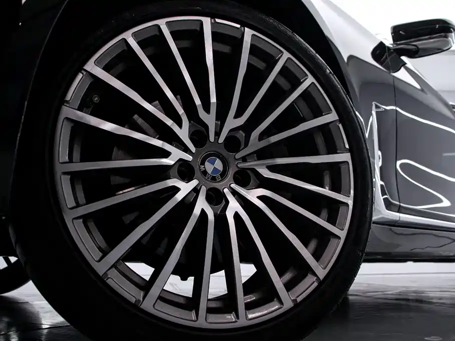 BMW 7 Series 2019 730Li Luxury Package - фото 16