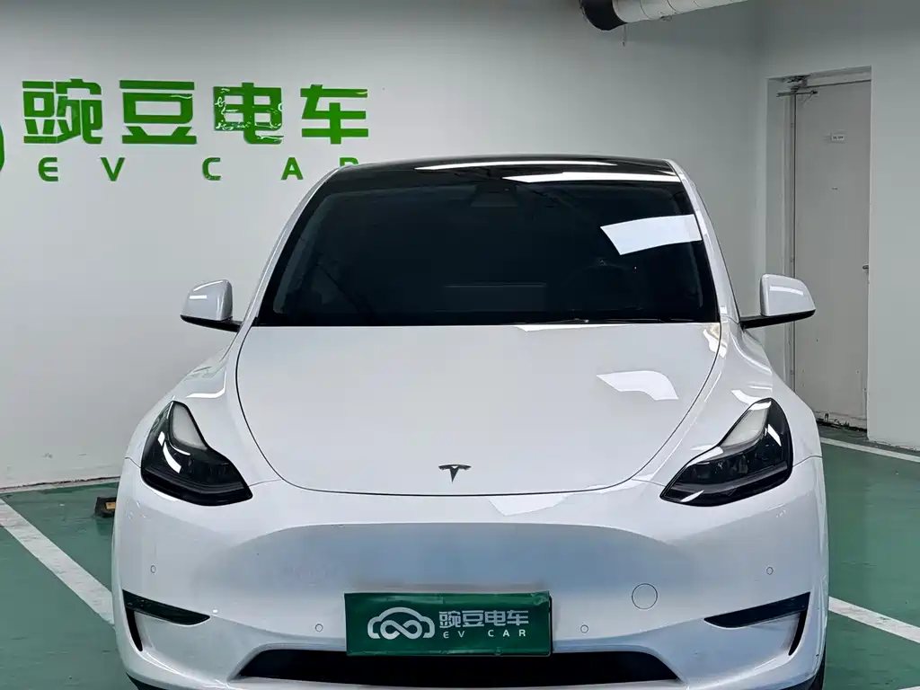 Model Y 2021 Long Range AWD