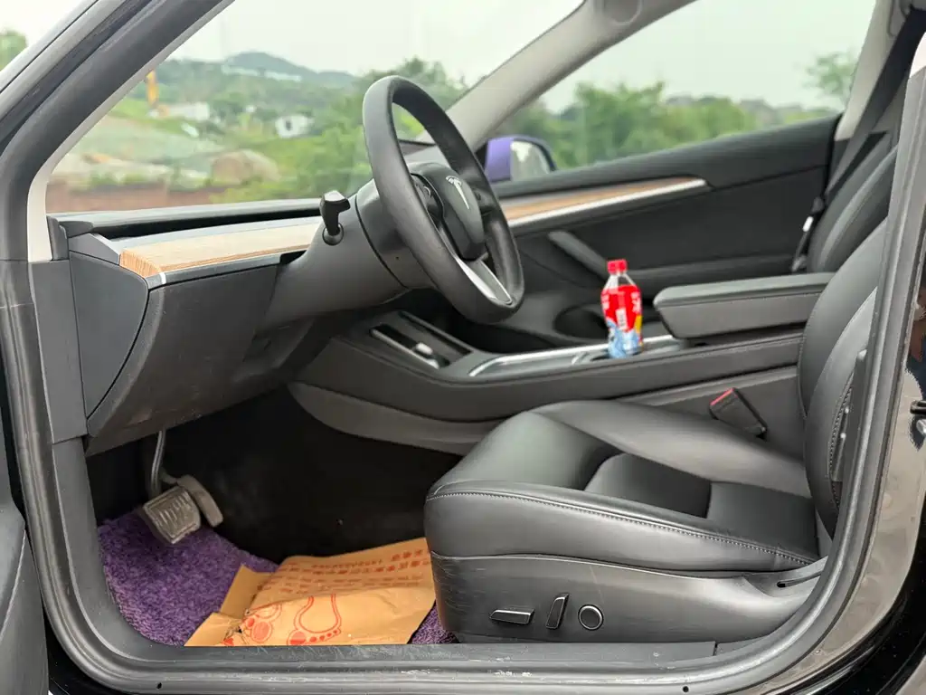 Tesla Model 3 2021 Standard Range Plus RWD