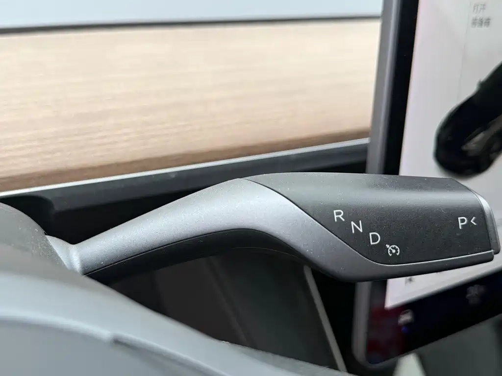 Tesla Model 3 2021 Standard Range Plus RWD