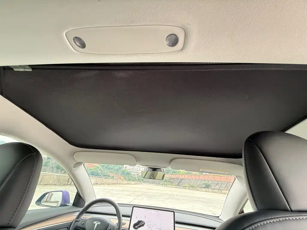 Tesla Model 3 2021 Standard Range Plus RWD