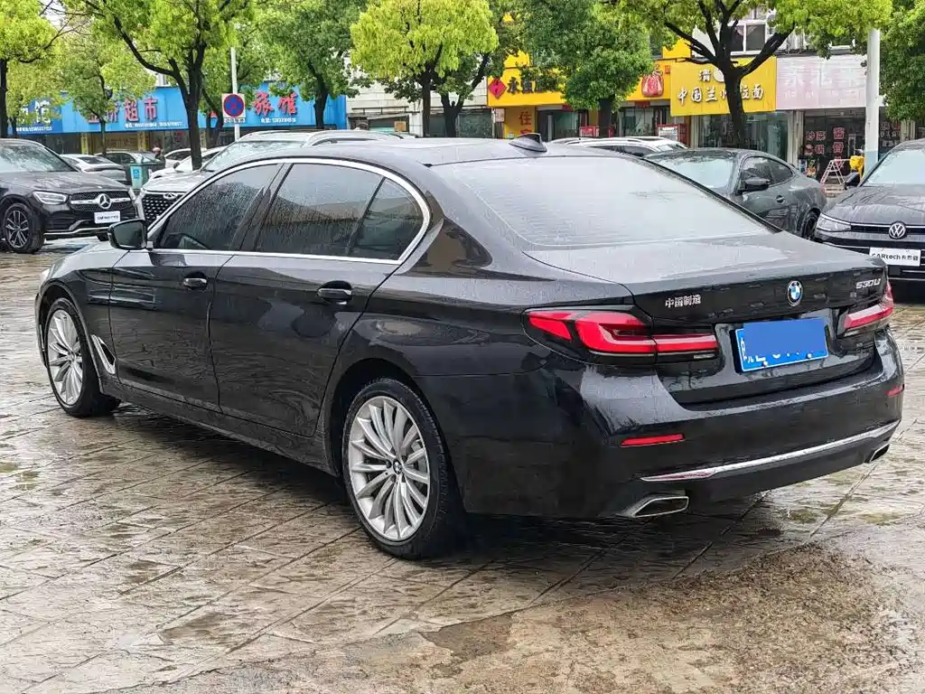 BMW 5 Series 2021 530Li Executive Luxury Edition - фото 3