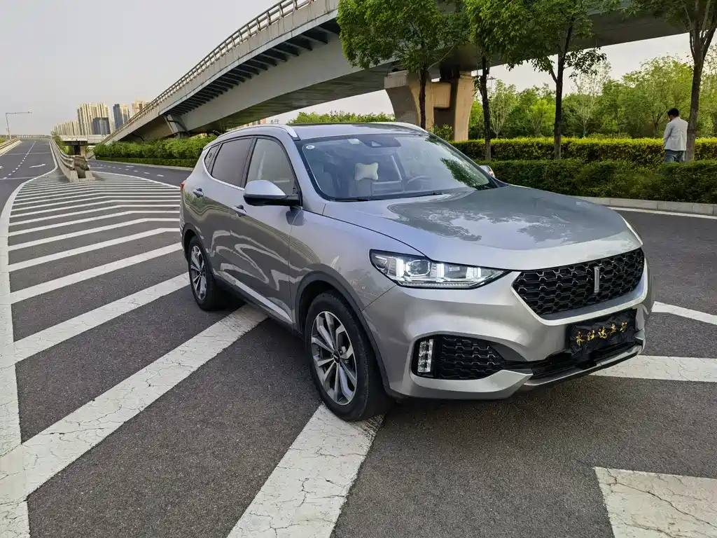 WEY VV6