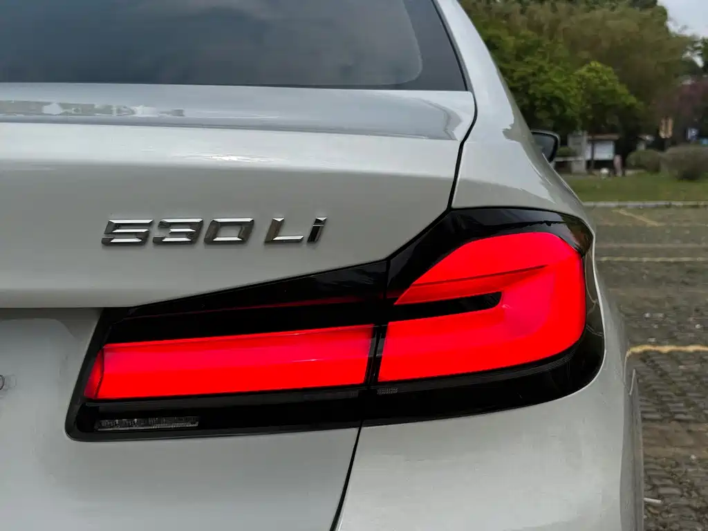 BMW 5 Series 2021 530Li Leading Edition Luxury Package - фото 15
