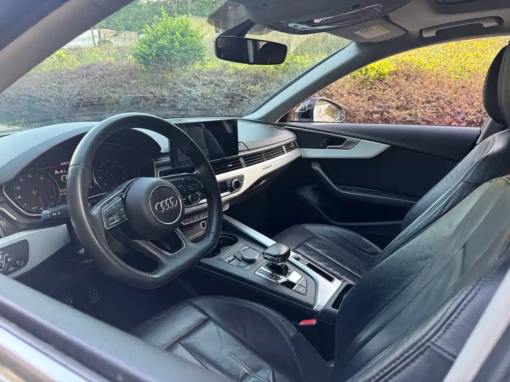 Audi A4L 2019 45 TFSI quattro Individual Sport Edition China V