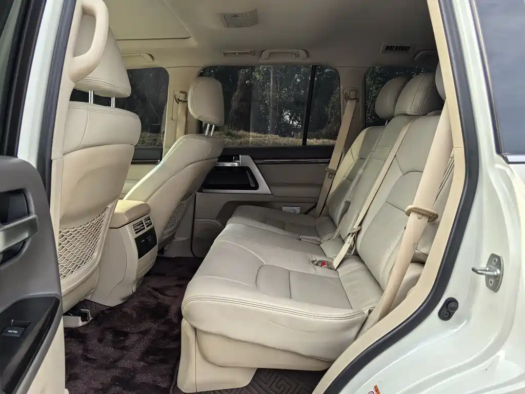 Land Cruiser (Import) 2019 5.7L VX-R