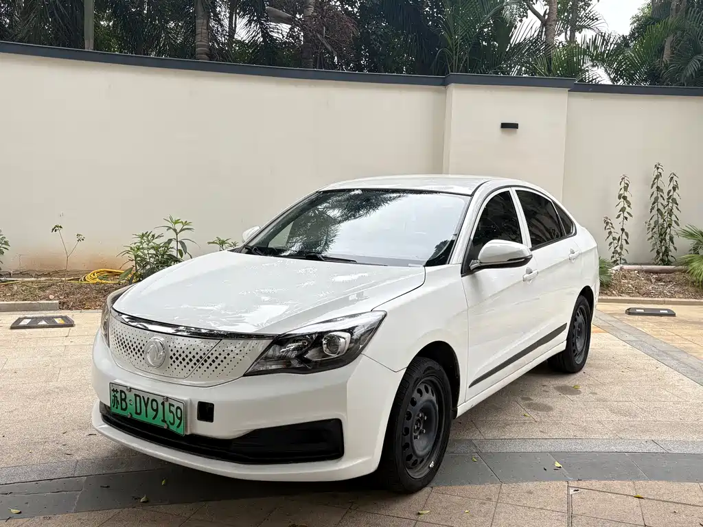Dongfeng Fengshen E70 2021 500 Super Enjoyment Edition