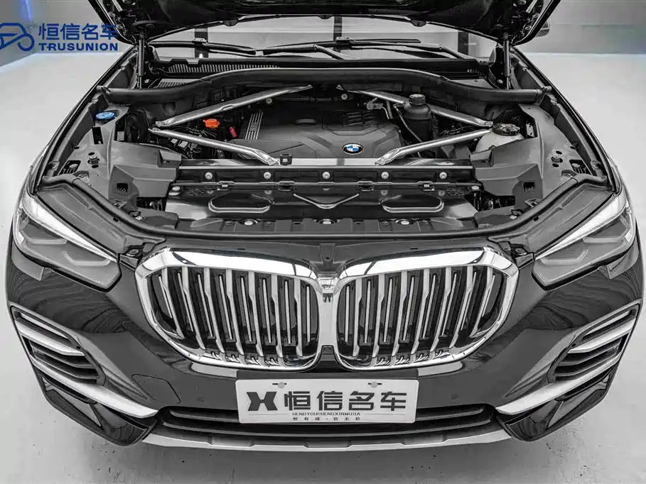 BMW X5 (imported) 2020 xDrive30i X Design Package