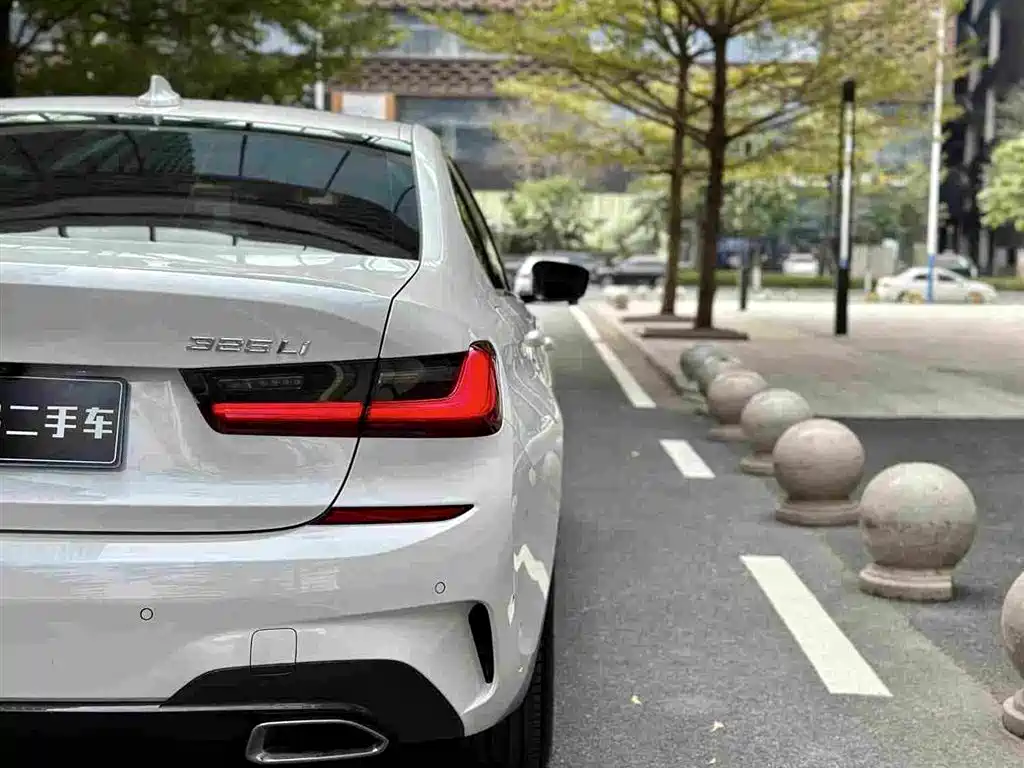 BMW 3 Series 2020 325Li M Sport Package - фото 21