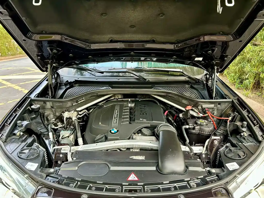 BMW X5 (Import) 2013 Middle East Edition - фото 6
