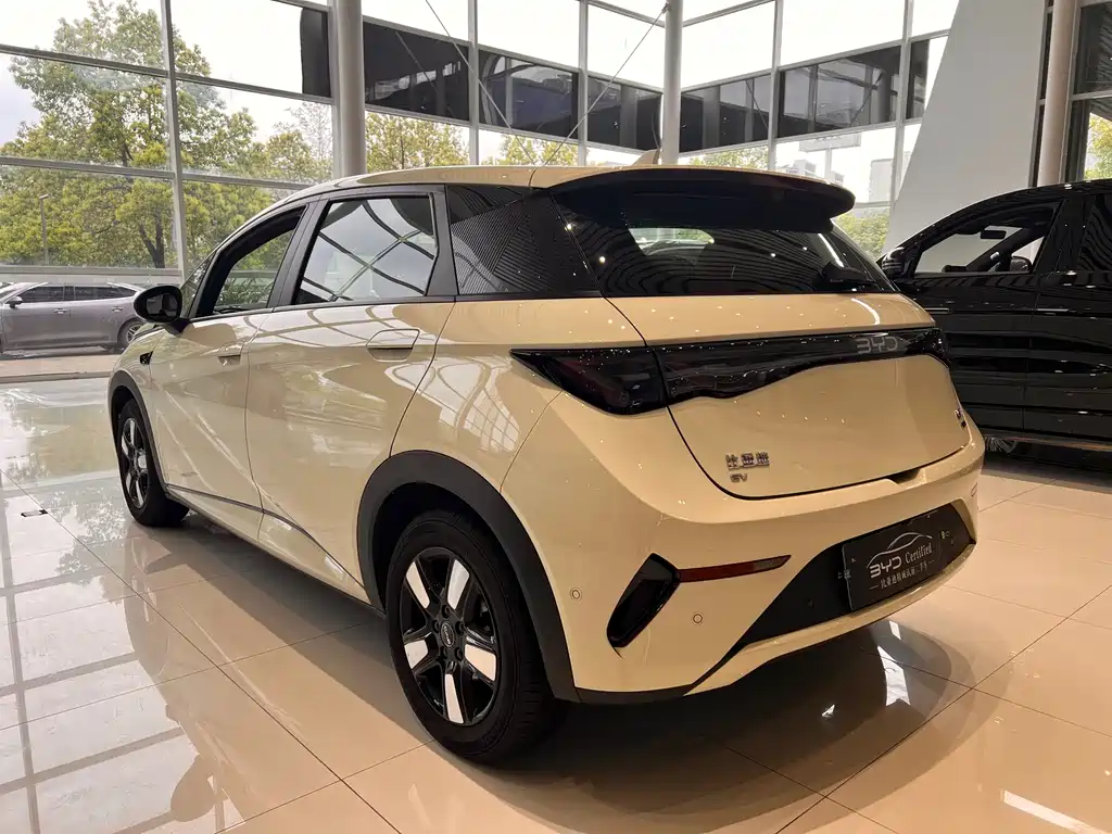 BYD Dolphin 2025 Intelligent Driving Edition 410km Fashion Edition