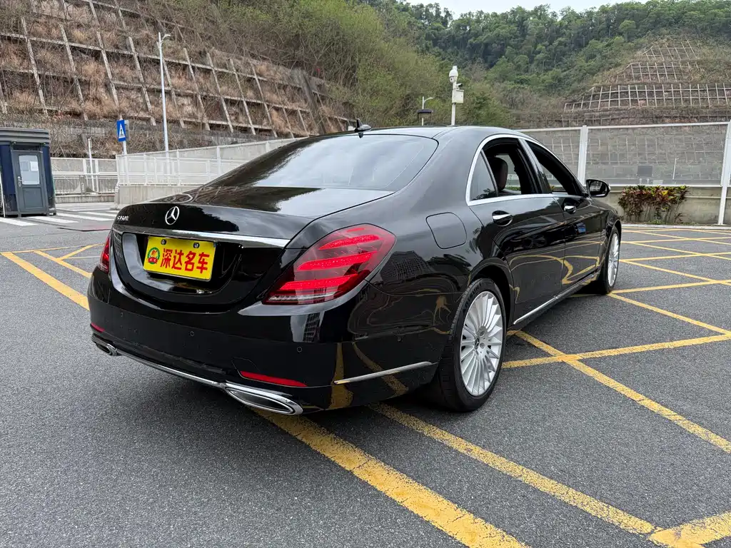 Mercedes-Benz S-Class 2020 S 350 L Business Edition Zhenzang Edition
