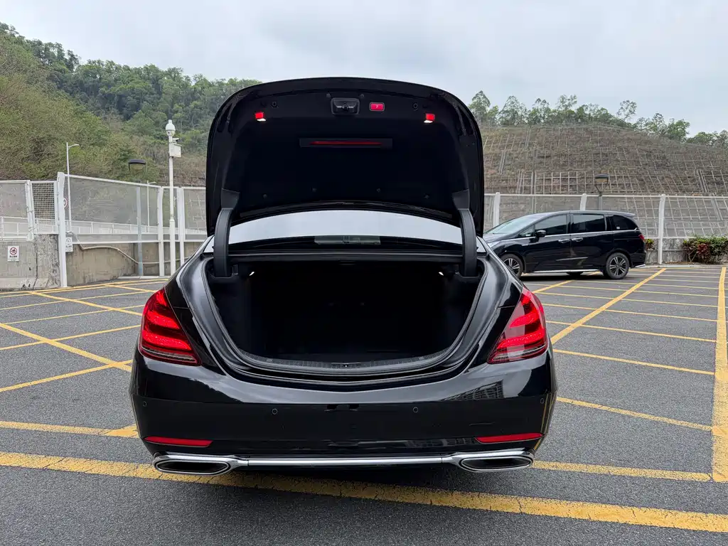 Mercedes-Benz S-Class 2020 S 350 L Business Edition Zhenzang Edition