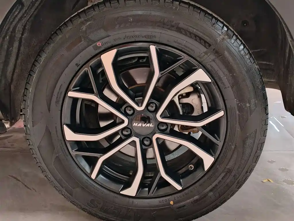 Haval H6 2023 Guochao Edition 1.5T Automatic Urban Edition