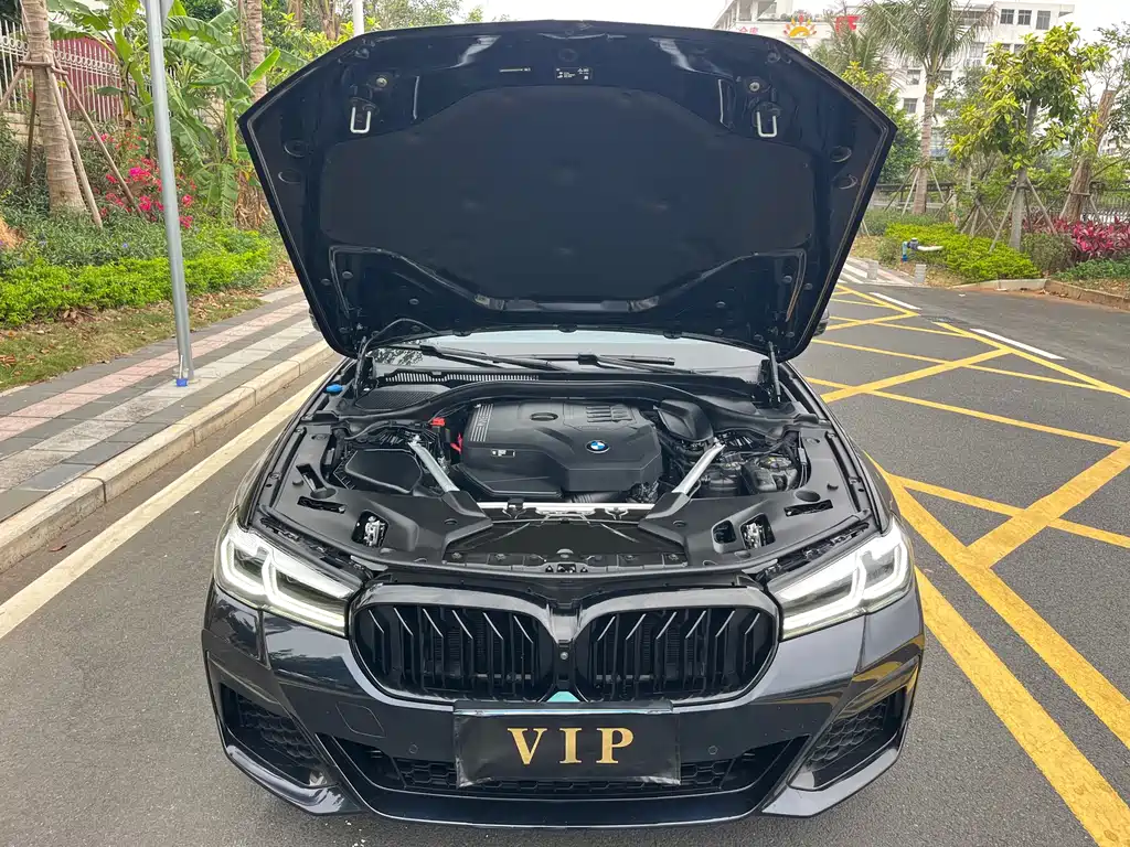 BMW 5 Series 2023 530Li Exclusive Edition M Sport Package - фото 21