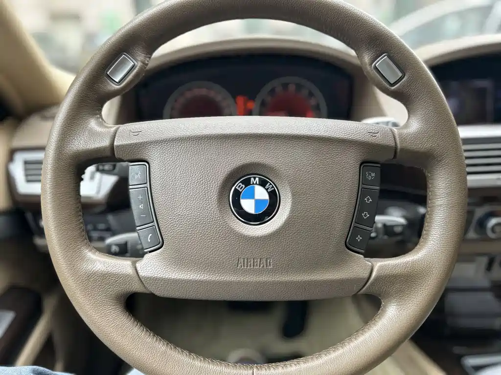 BMW 7 Series 2009 730Li Luxury