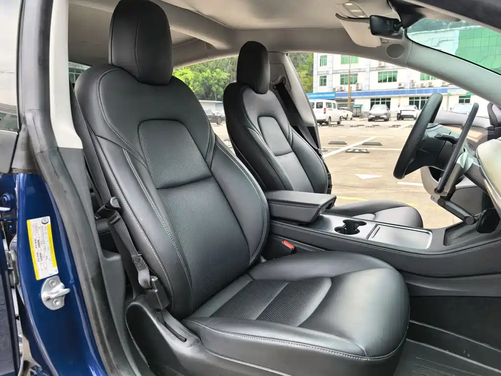 Tesla Model 3 2021 Standard Range Plus RWD