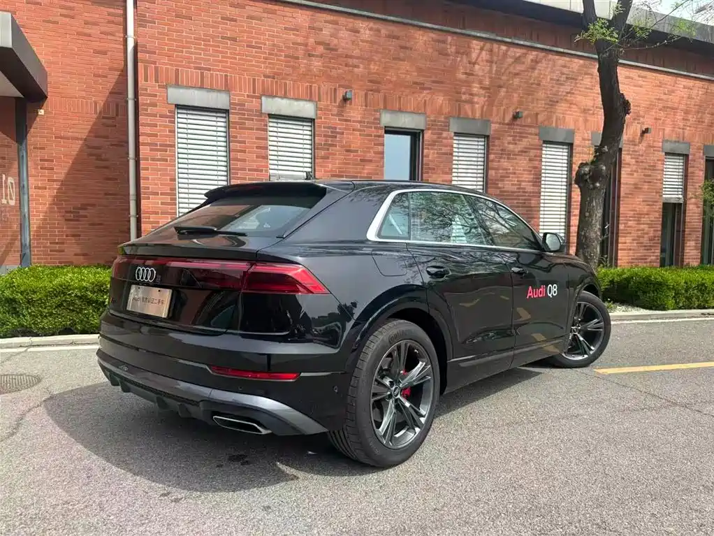 Audi Q8 2024 55 TFSI Luxury Dynamic
