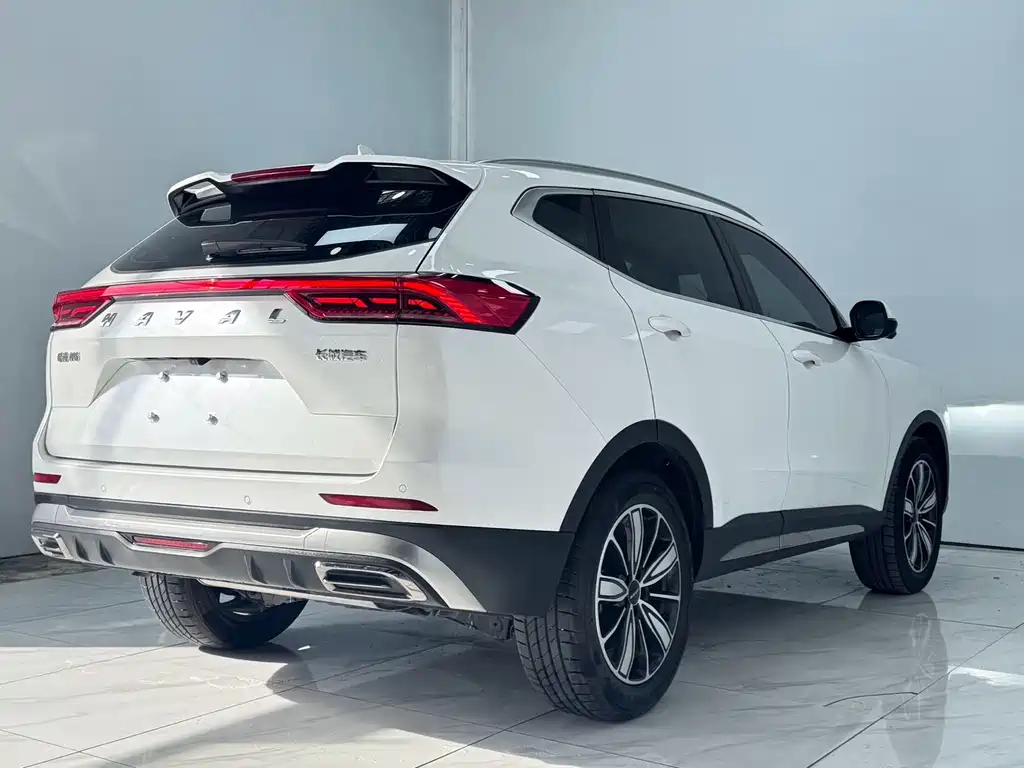 Haval H6 2023 Guochao Edition 1.5T Auto Champion Edition