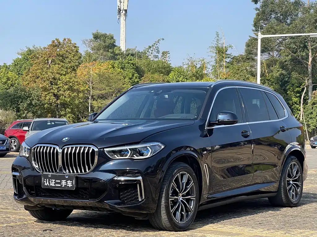 BMW X5 2022 xDrive 30Li M Sport Package