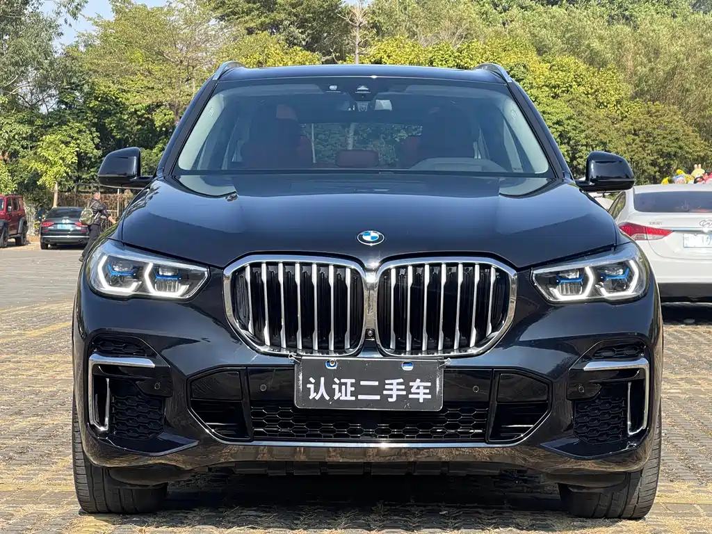 BMW X5 2022 xDrive 30Li M Sport Package - фото 2