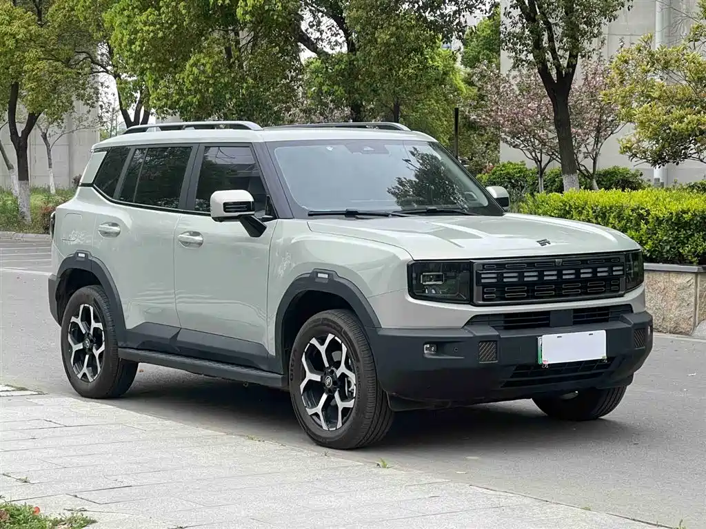 Jetour Shanhai T1 2024 150km Xianghai