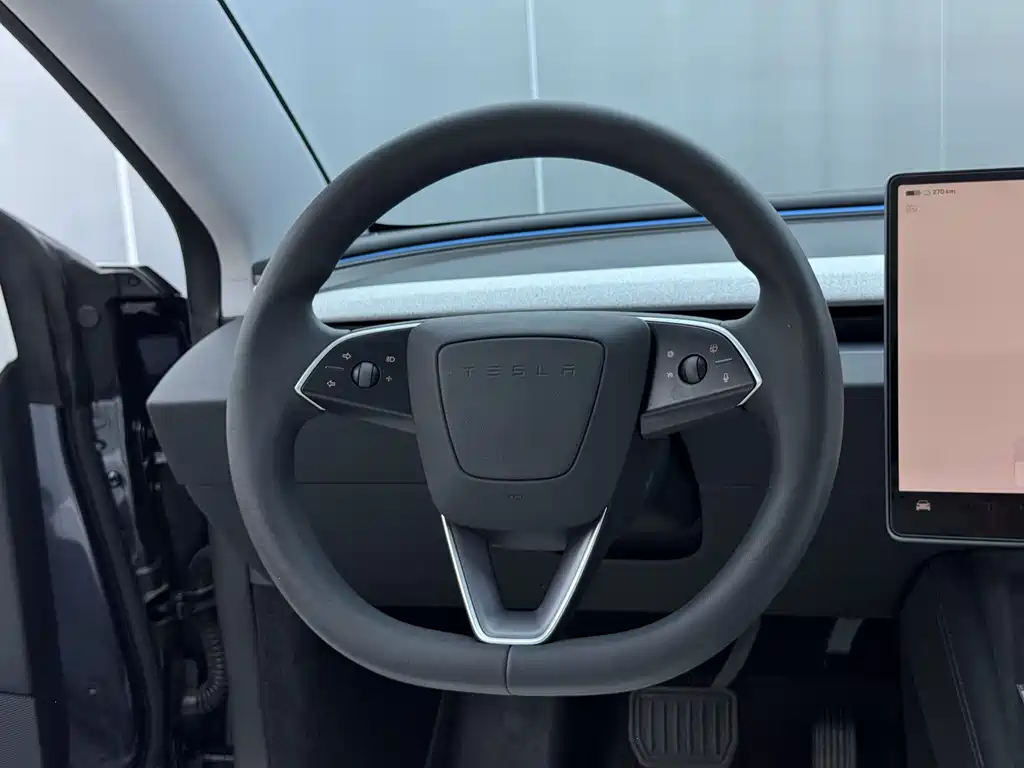 Tesla Model 3 2025 Rear-Wheel Drive