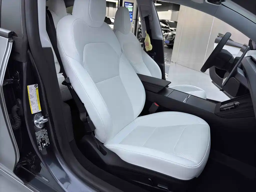 Tesla Model 3 2025 Rear-Wheel Drive