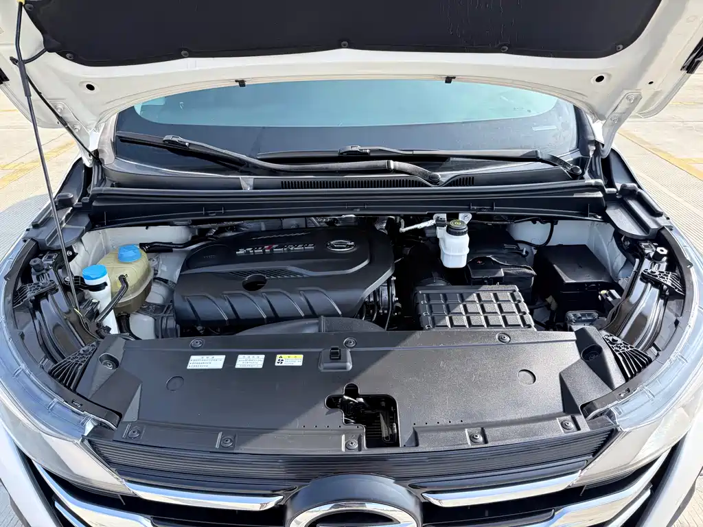 GAC Trumpchi M6 2019 270T Automatic Luxury Edition (7-Seater) China V