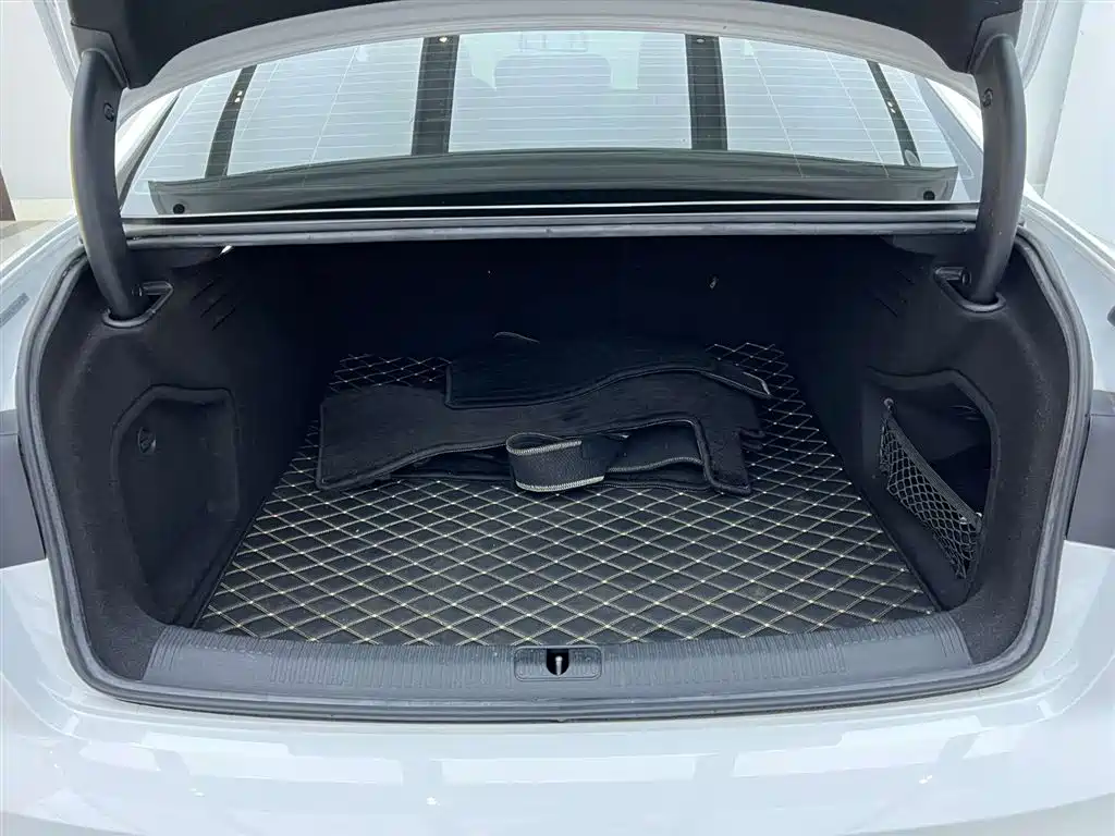 Audi A4L 2020 40 TFSI Fashion Dynamic