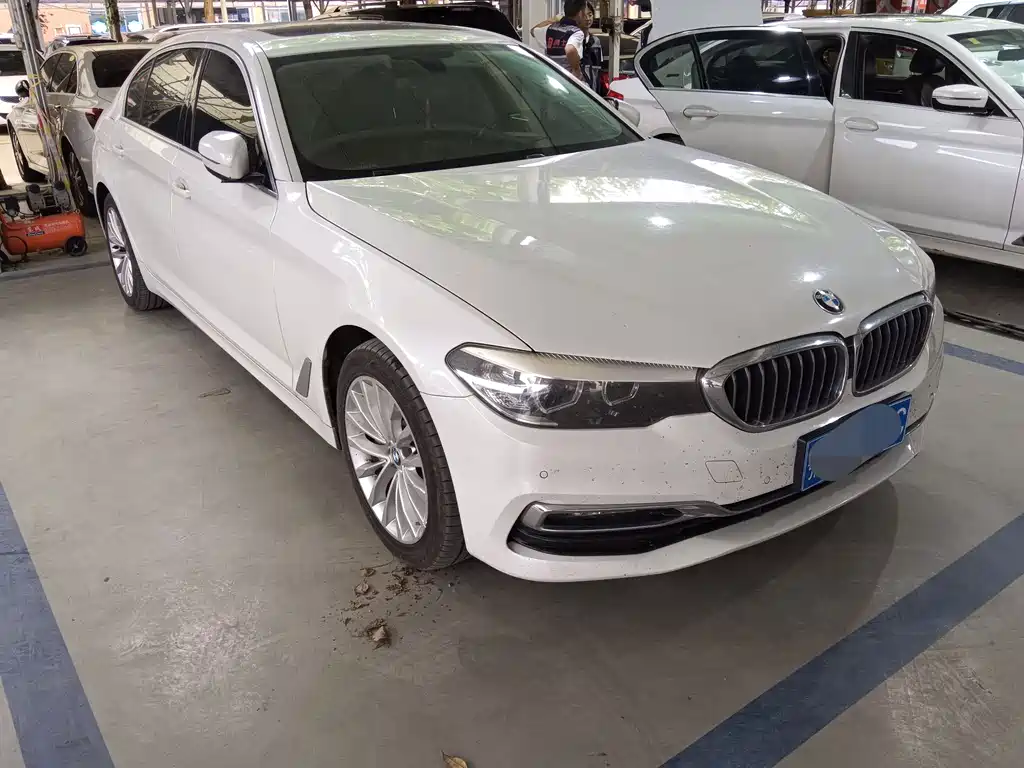 BMW 5 Series 2019 530Li Leading Edition Luxury Package