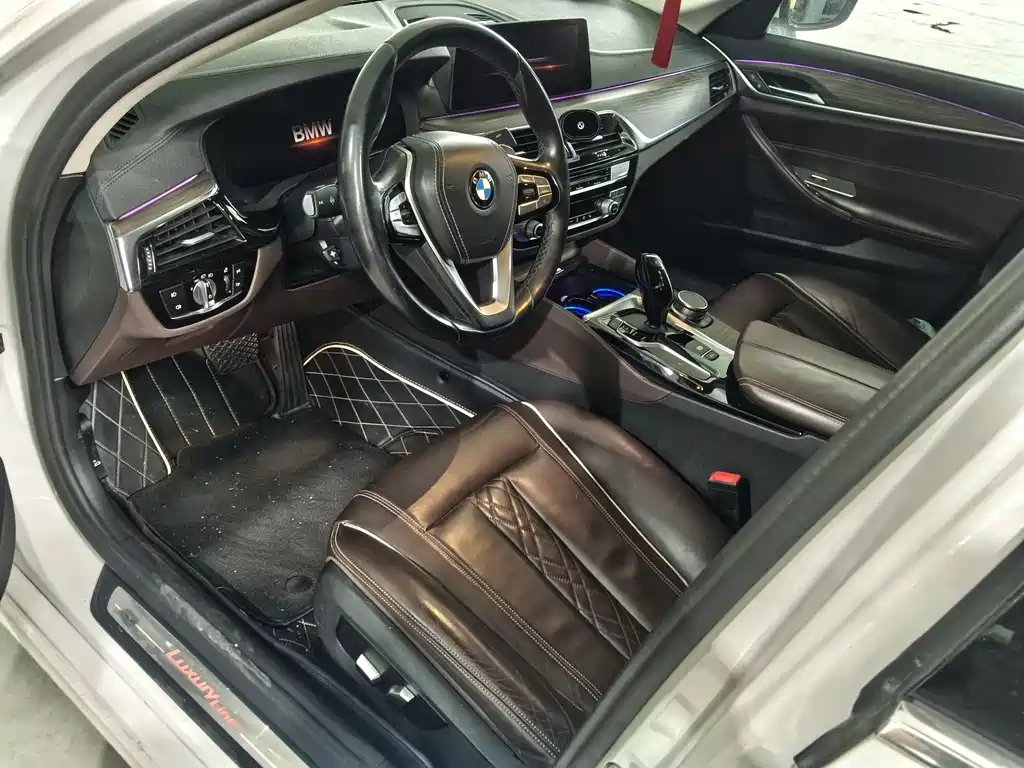 BMW 5 Series 2019 530Li Leading Edition Luxury Package