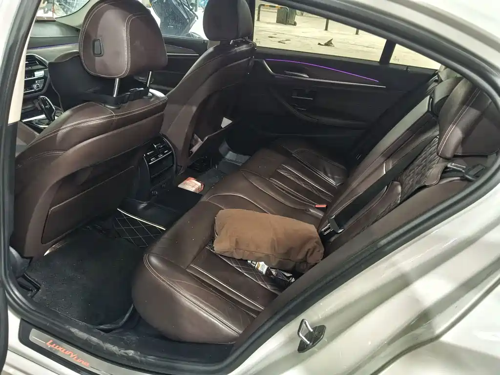 BMW 5 Series 2019 530Li Leading Edition Luxury Package