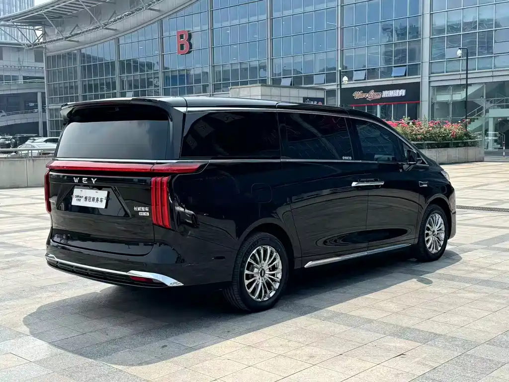 WEY Gaoshan 2025 AWD Gaoshan 8