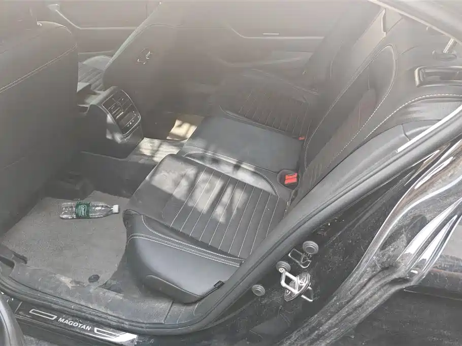 Volkswagen Magotan 2020 330TSI DSG Luxury