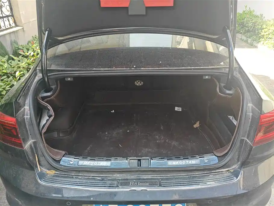 Volkswagen Magotan 2020 330TSI DSG Luxury