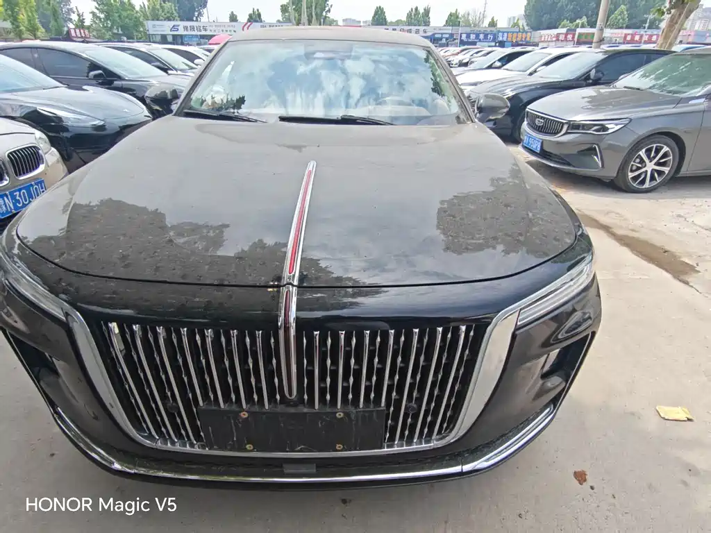 Hongqi H9 2020 2.0T Zhilian Qichang Edition