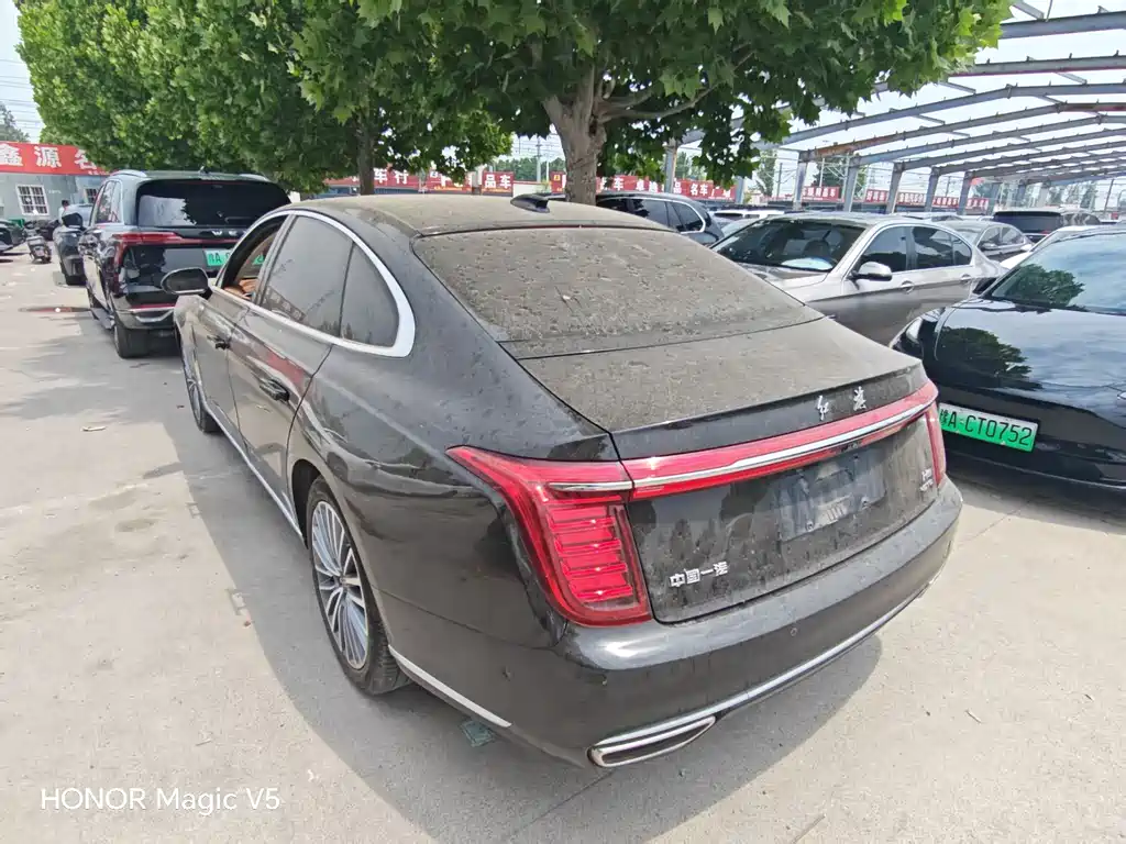 Hongqi H9 2020 2.0T Zhilian Qichang Edition