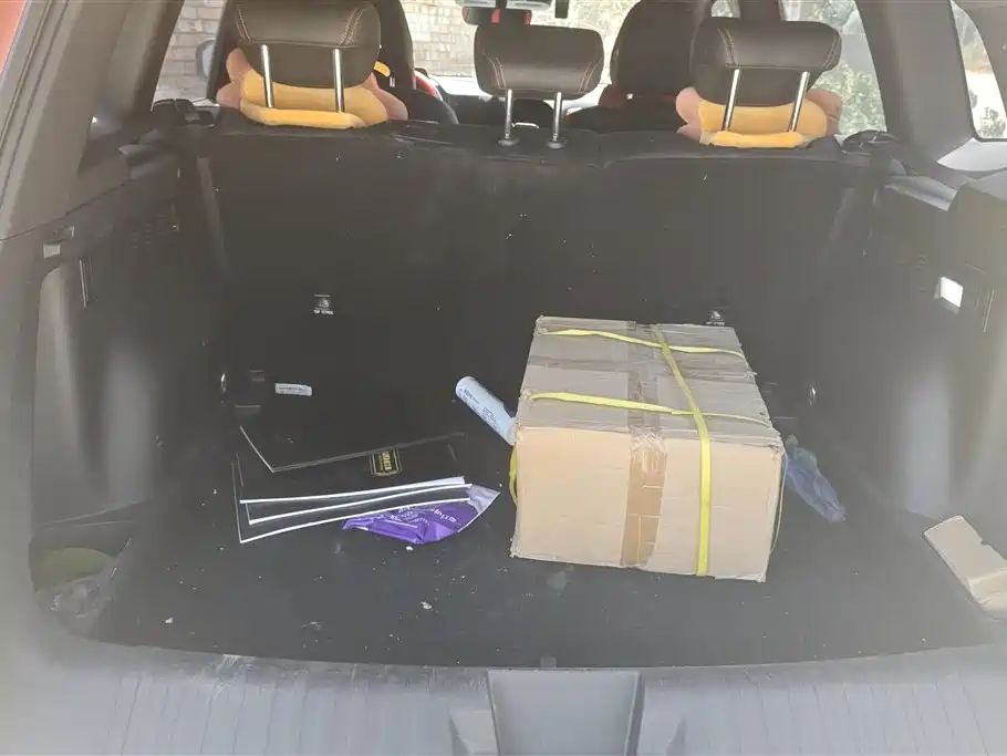 Haval Big Dog 2022 1.5T DCT 2WD Border Collie Edition
