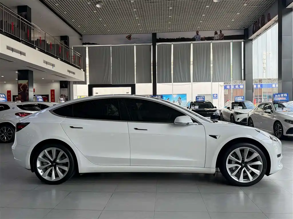 Model 3 2019 Standard Range Plus RWD